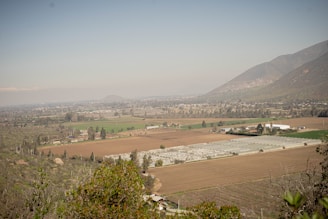 A vast agricultural landscape with fields of varying colors that appear to be used for different crops. In the distant background, there are mountains with sparse vegetation. Several structures, possibly greenhouses or farm buildings, are situated in the middle, while trees and patches of greenery are spread throughout the area. The sky is clear with a soft gradient.