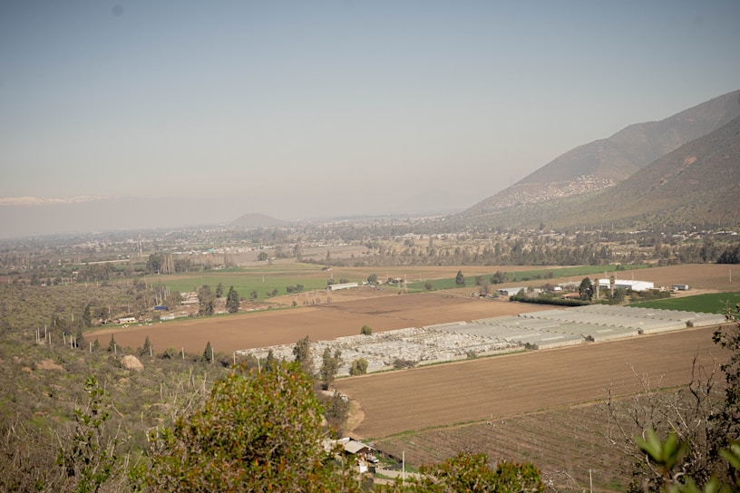 A vast agricultural landscape with fields of varying colors that appear to be used for different crops. In the distant background, there are mountains with sparse vegetation. Several structures, possibly greenhouses or farm buildings, are situated in the middle, while trees and patches of greenery are spread throughout the area. The sky is clear with a soft gradient.