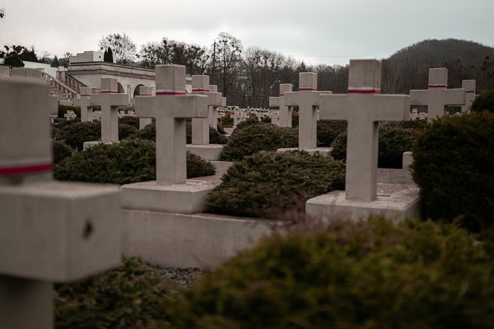 a cemetery with many headstones and bushes