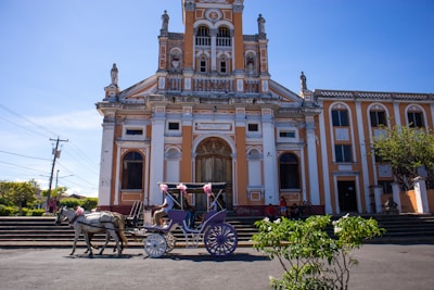 A horse-drawn carriage adorned with pink flowers is stationed in front of an ornate, historic building with a peach and white facade. The architecture features columns, arches, and decorative sculptures. Bright blue skies and greenery add color to the scene, creating a picturesque and tranquil atmosphere.