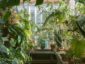 A lush green nursery filled with diverse potted plants under natural sunlight.