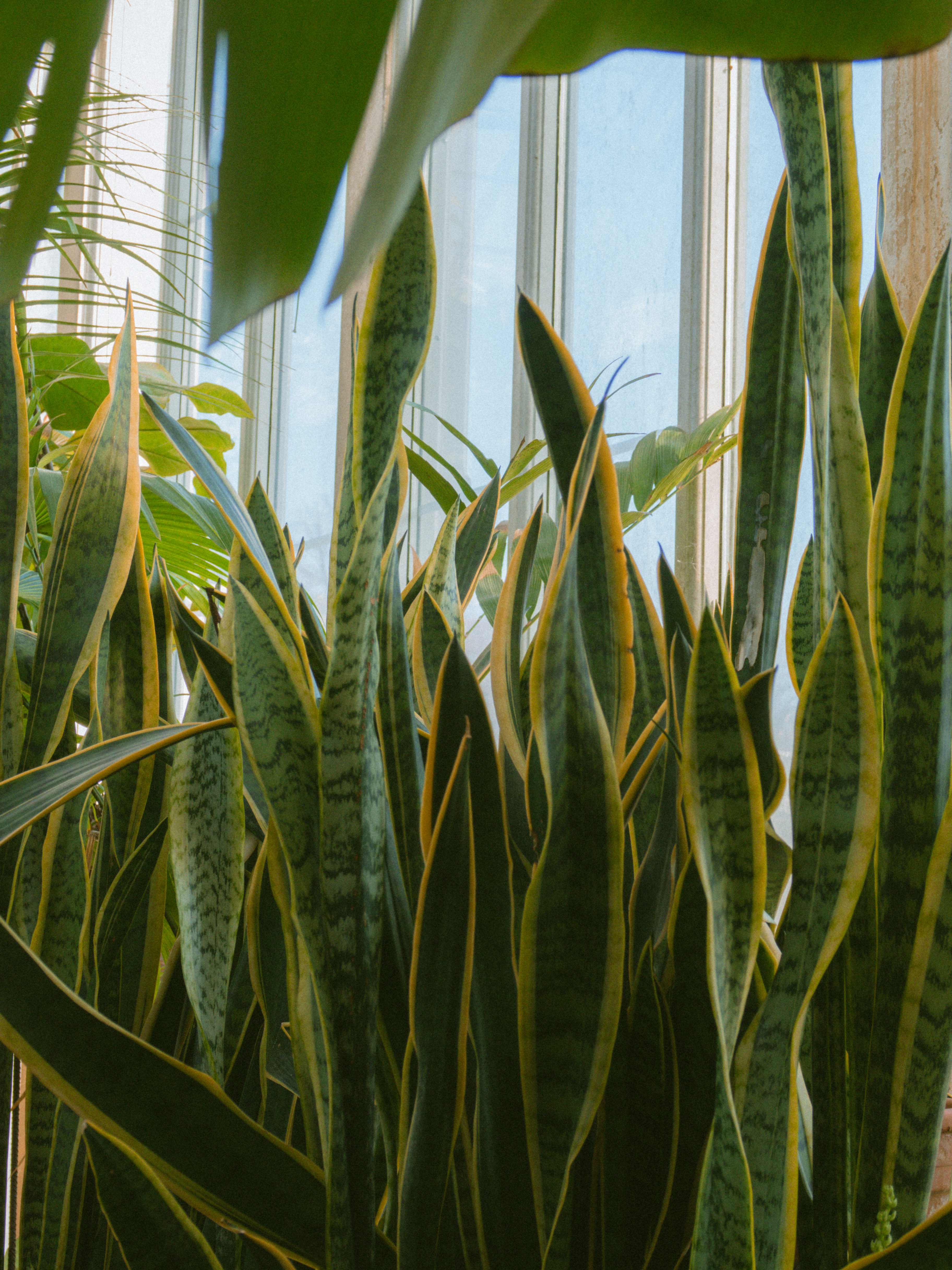 Photo by seenthroughmpk