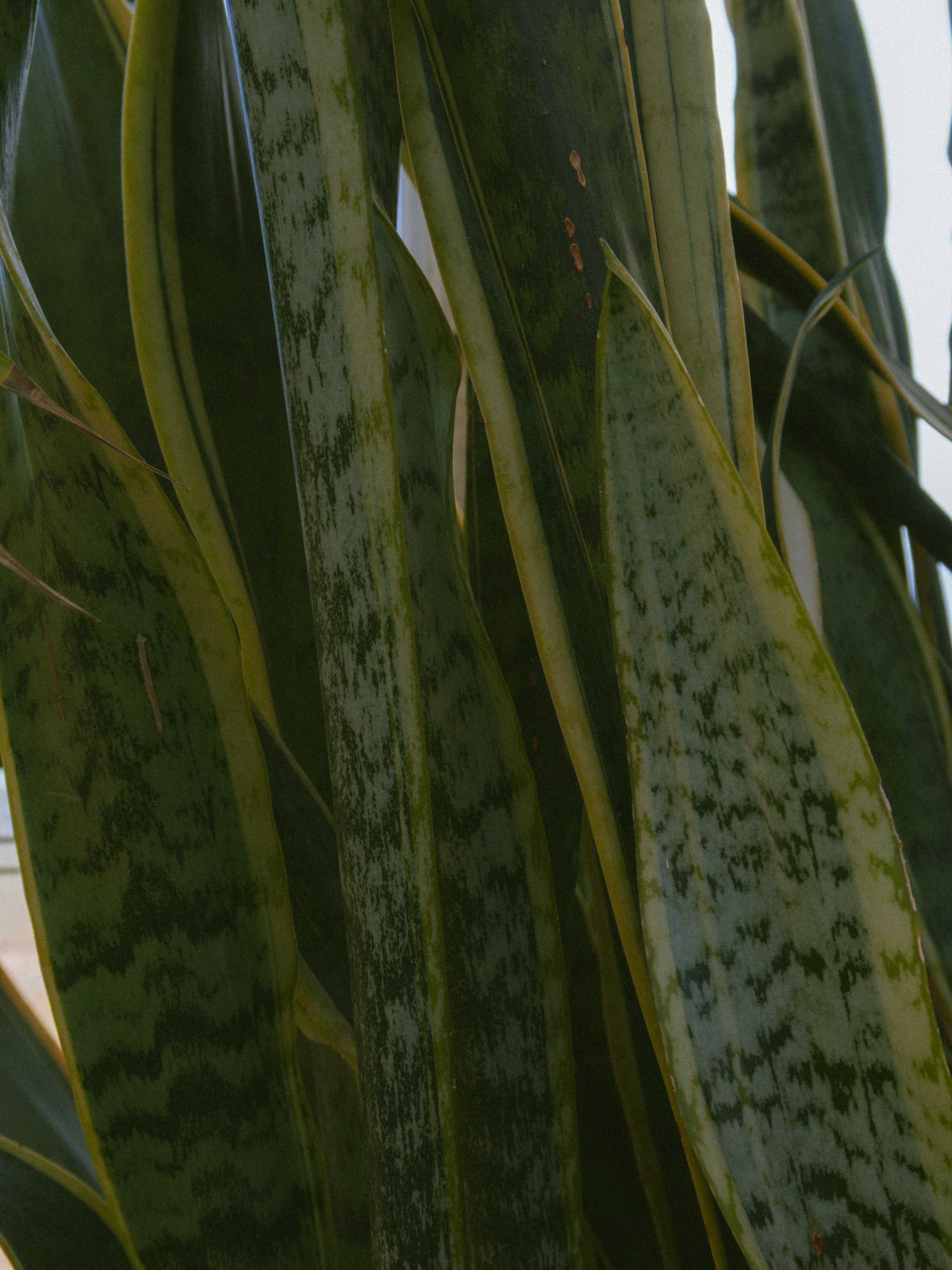 Photo by seenthroughmpk