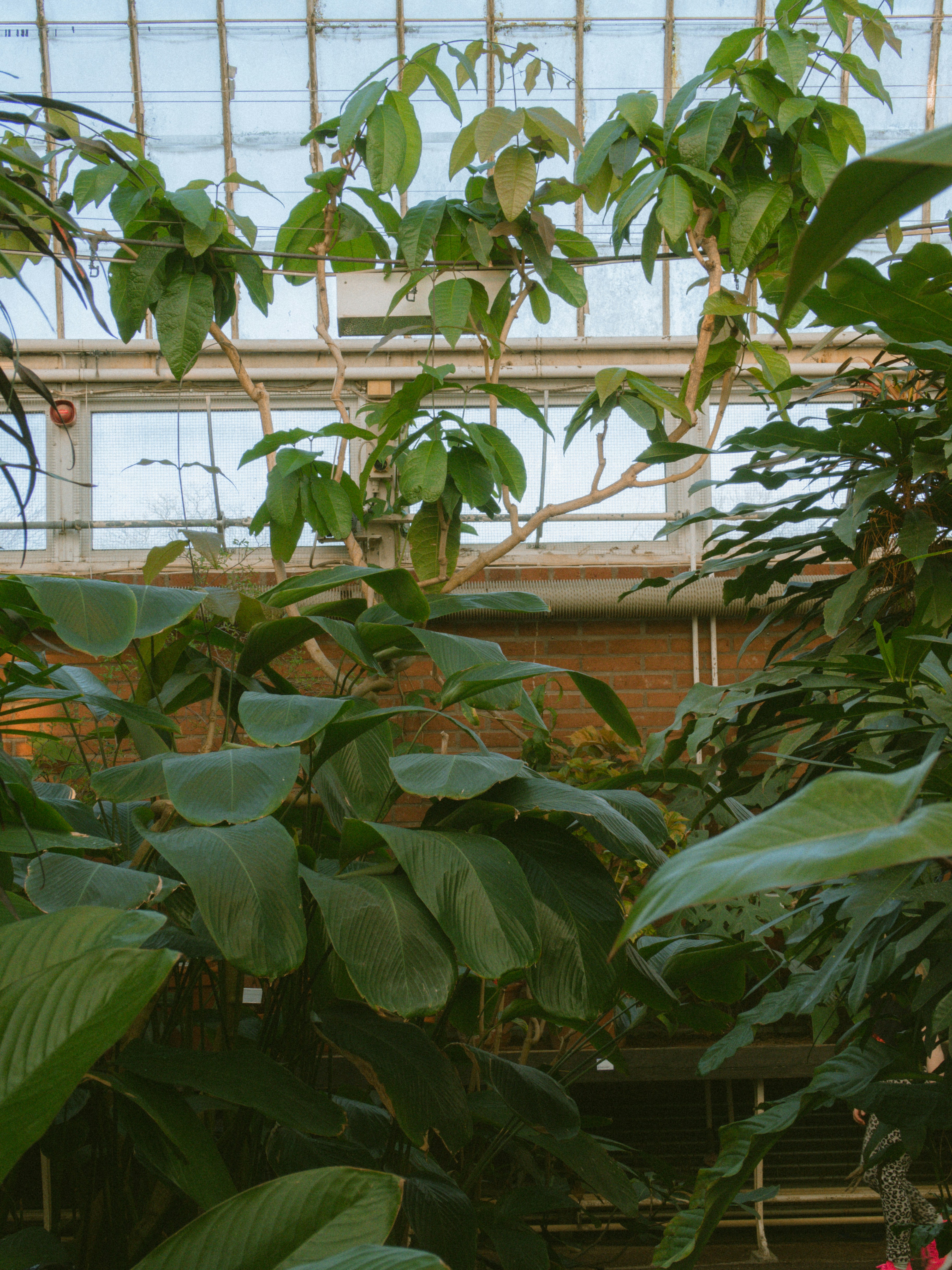 Photo by seenthroughmpk