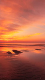 A serene beach at sunset with vibrant orange and pink skies reflecting on calm water.