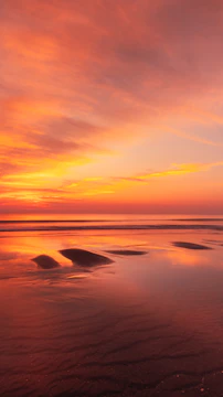 A serene beach at sunset with vibrant orange and pink skies reflecting on calm water.