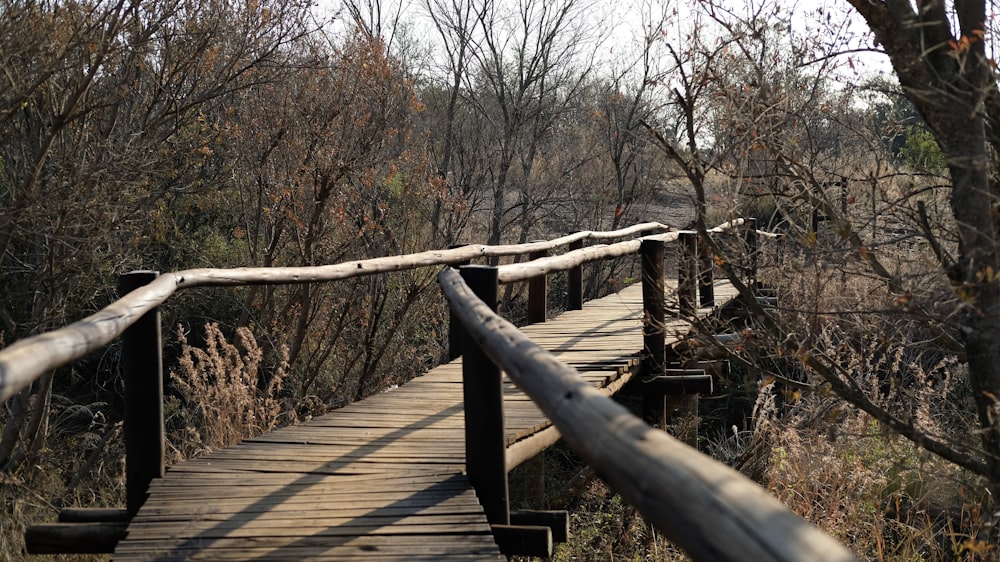 a wooden bridge in the middle of a wooded area