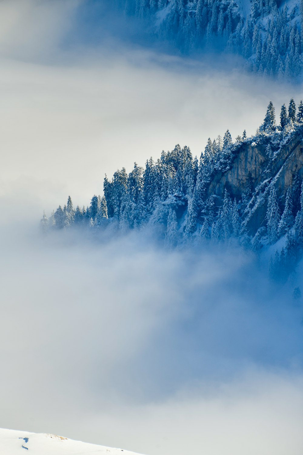 a mountain covered in snow and surrounded by trees