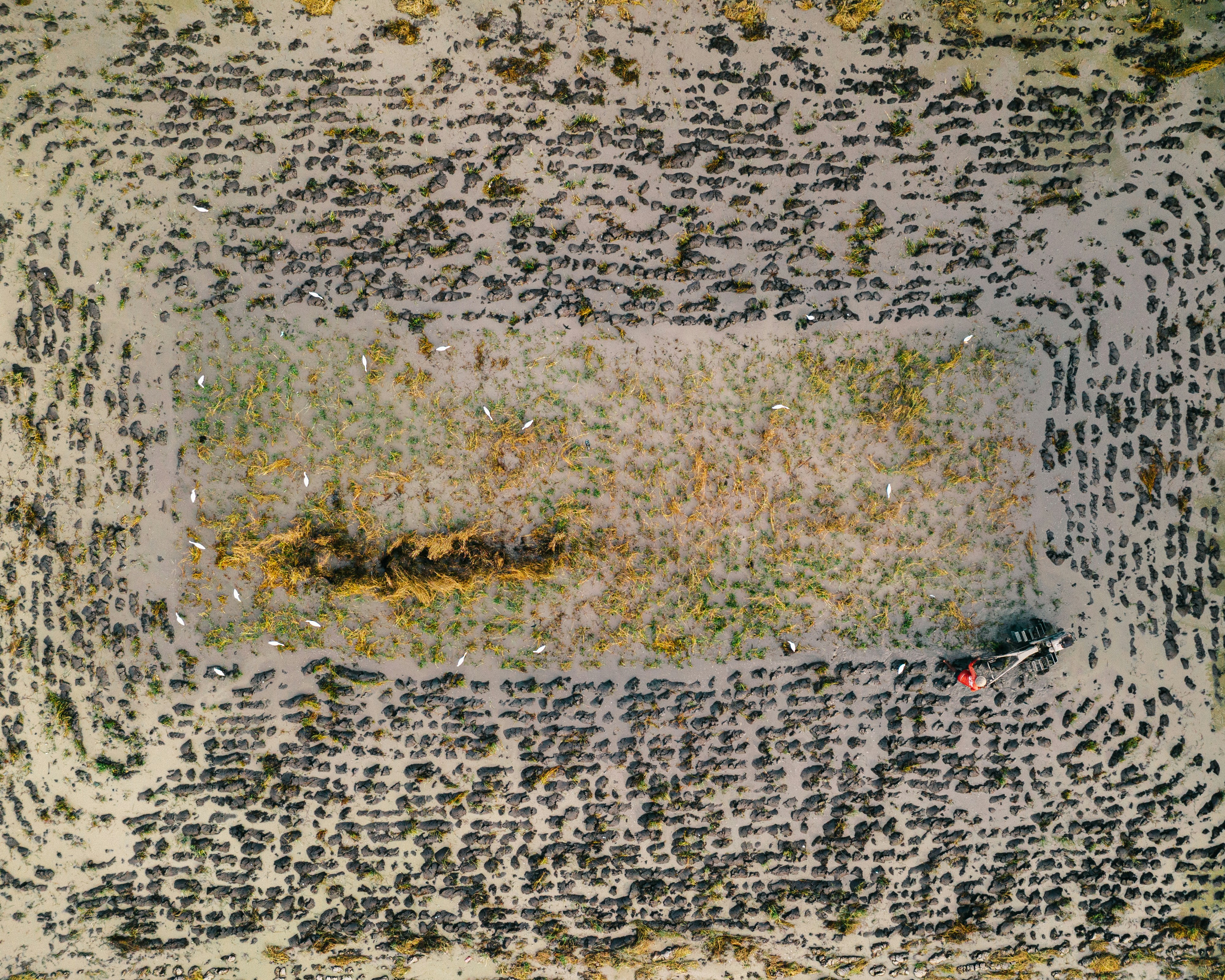 Photo by joshwithers