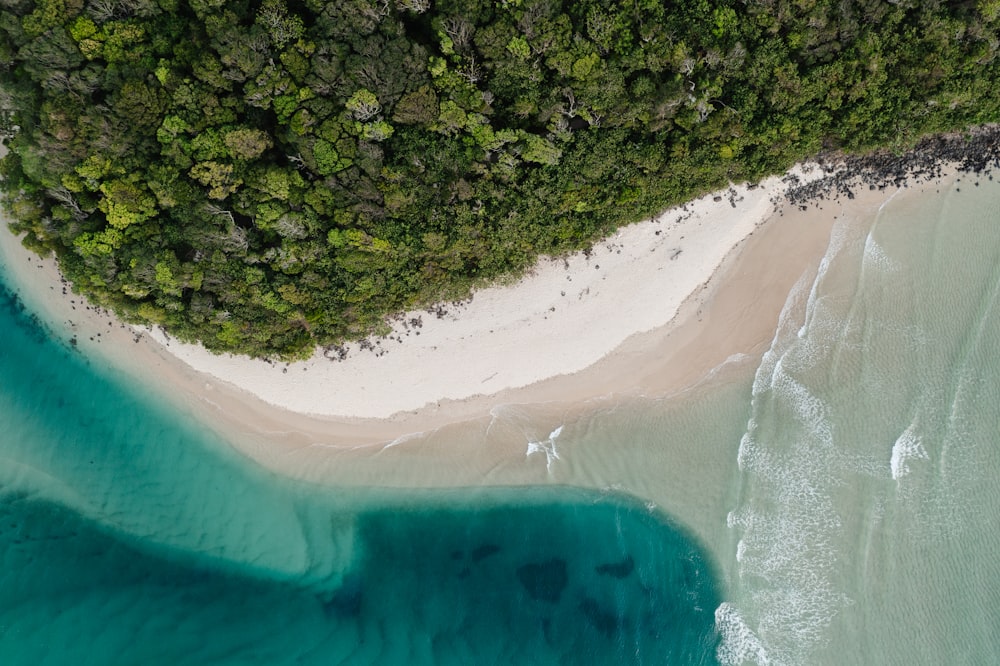 uma vista aérea de uma praia de areia e água