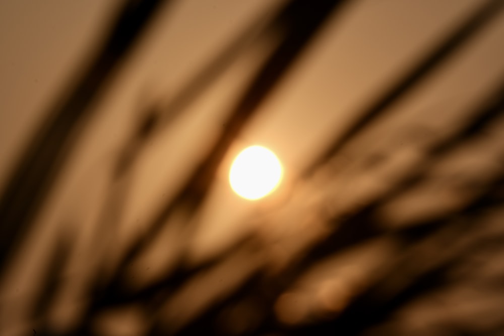 a blurry photo of the sun through the branches of a tree