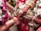 A close-up view of a wedding ritual where two hands are joined together. The bride's hand is adorned with intricate henna designs, gold bracelets, and rings. She holds betel leaves. There are flower garlands in the background, and the atmosphere is colorful and festive.