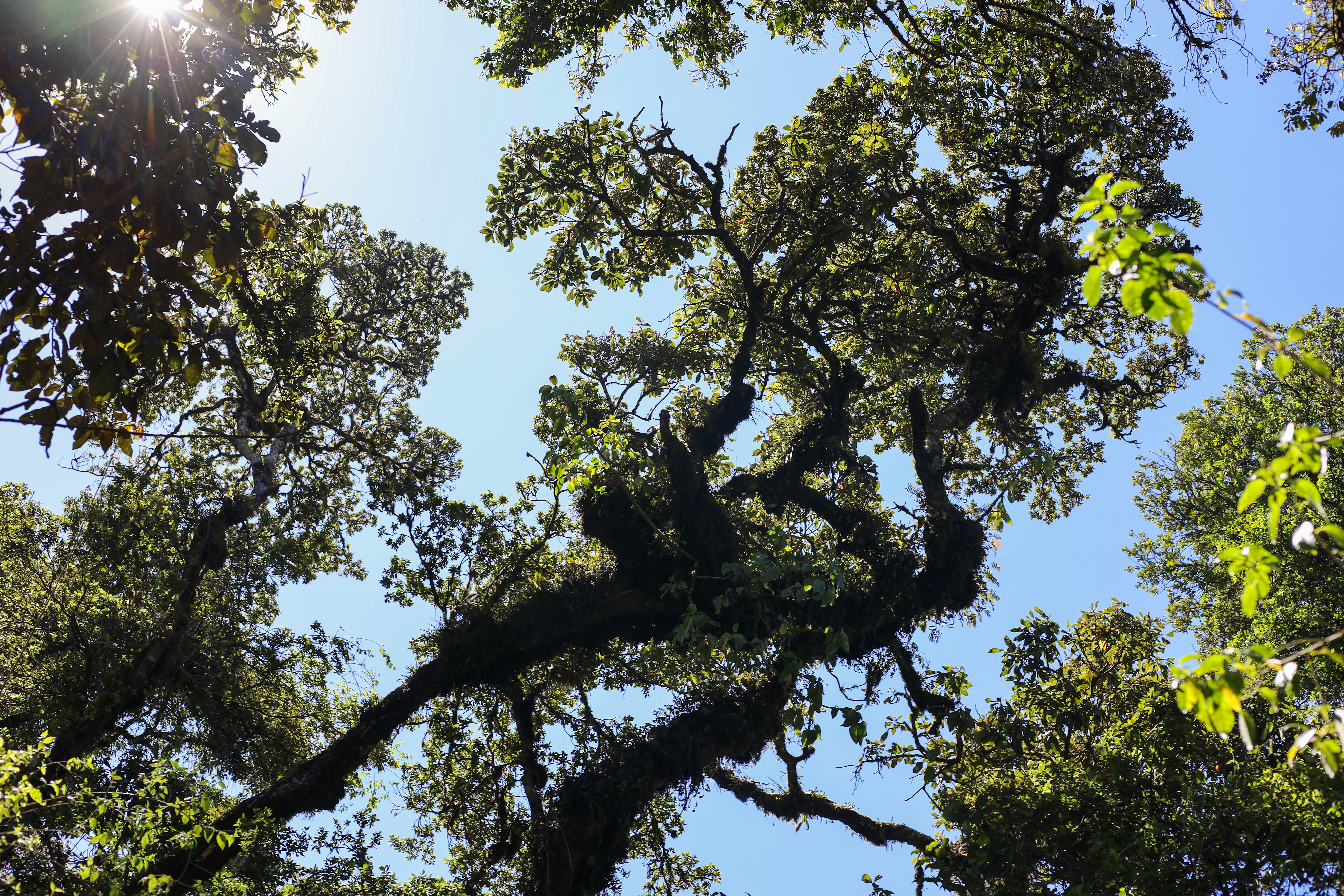 Photo by backroadpackers