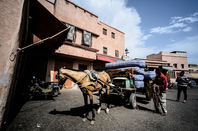 A yegua cart being used to transport tools in an urban setting