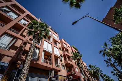 A low-angle view of a warm-toned apartment building under a clear blue sky. Tall palm trees line the foreground, and a streetlight is visible. Sunlight creates contrasting shadows on the facade of the building, adding depth to the scene.