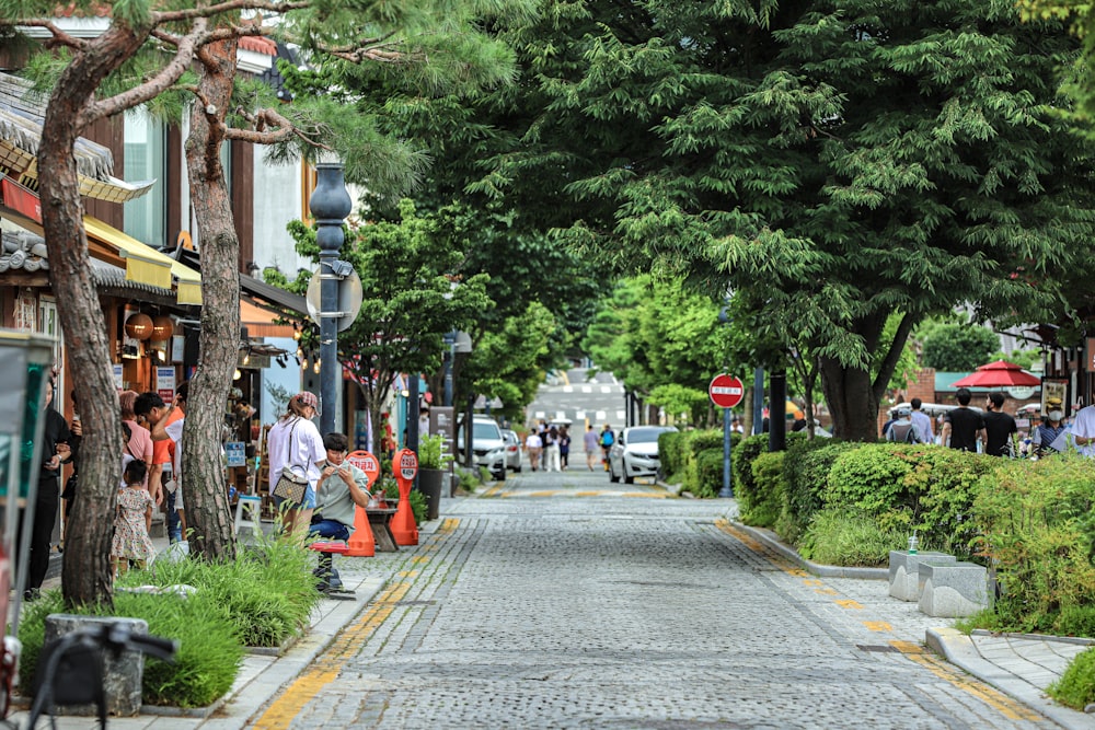 a cobblestone street lined with trees and shops
