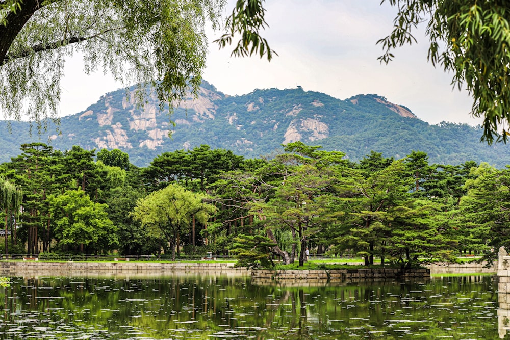 a lake surrounded by trees with a mountain in the background