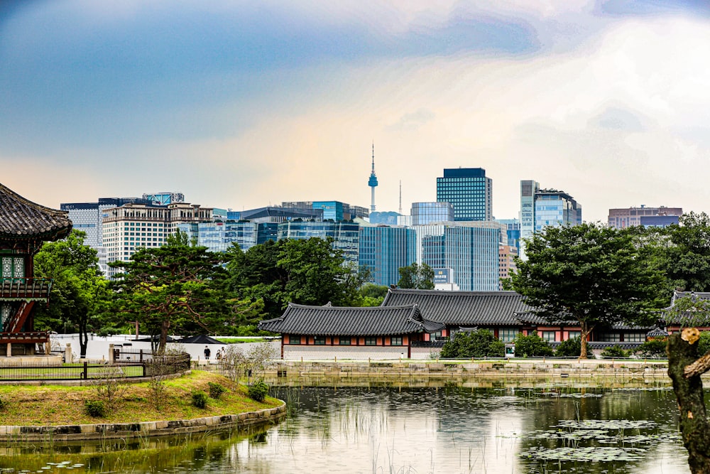 a pond in front of a city skyline