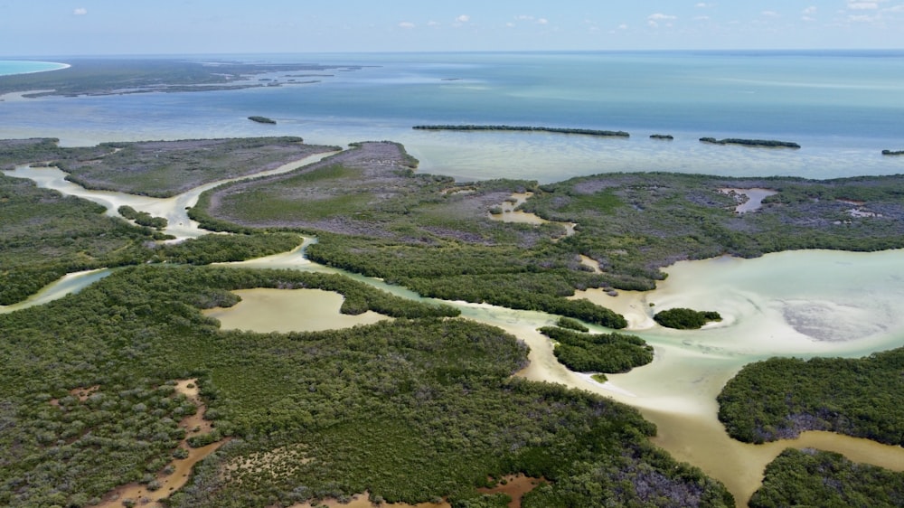 Una vista aérea de una playa y un cuerpo de agua