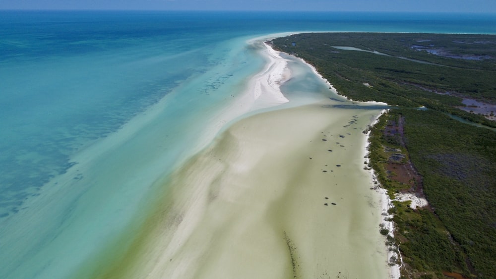 an aerial view of a beach and the ocean