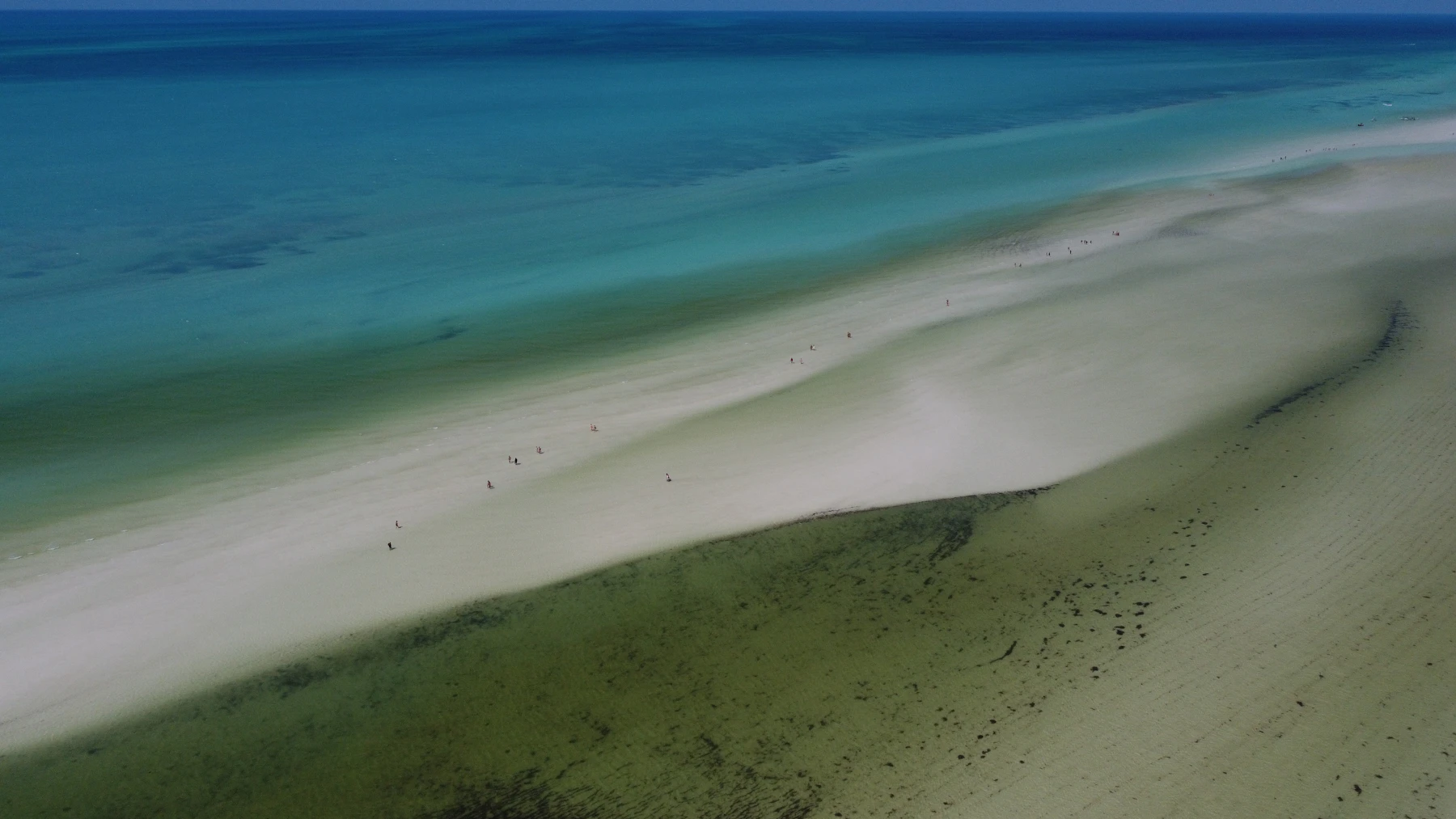 Aerial view of the white sandbar and turquoise shallows on Isla Holbox, Mexico