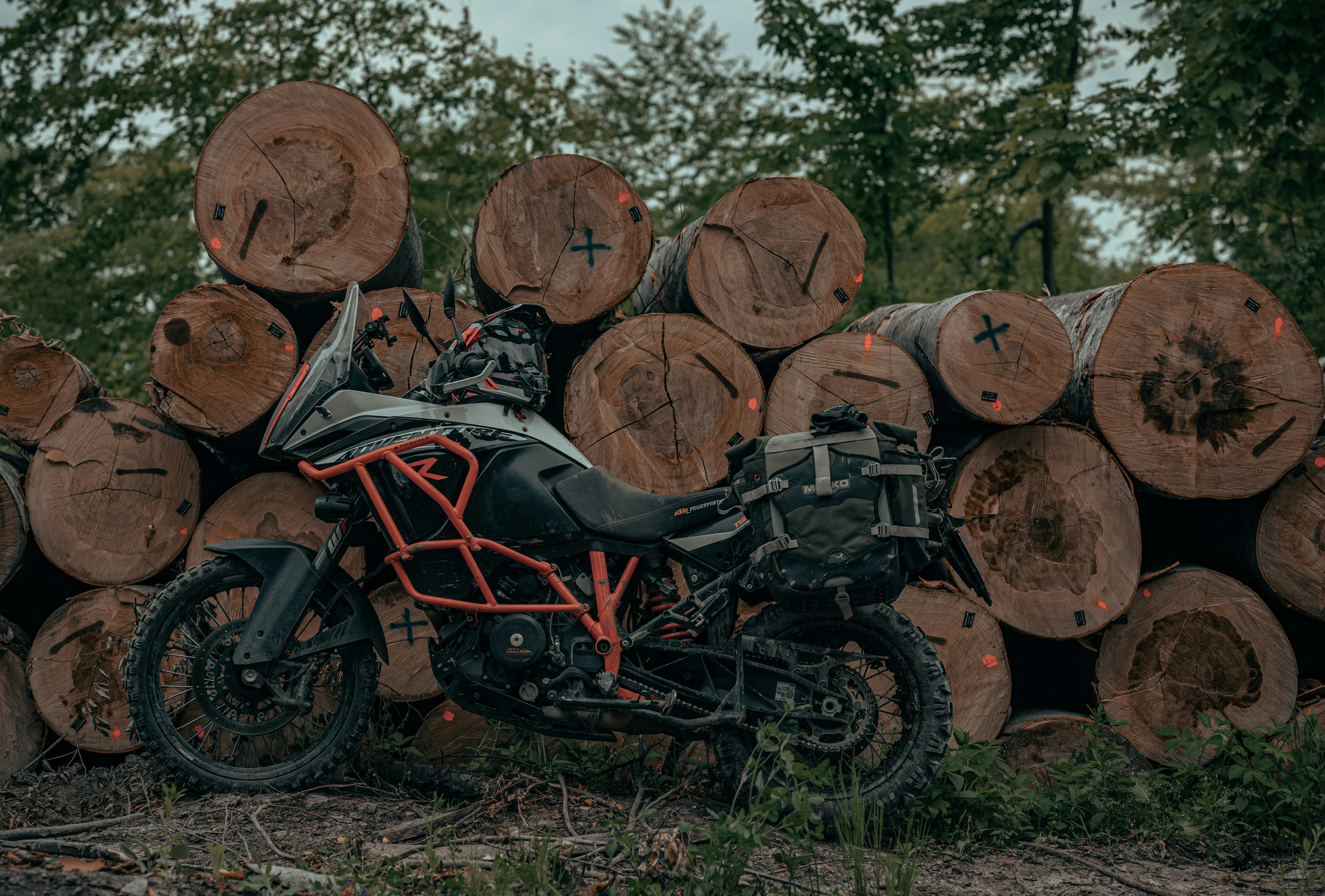 Ein Motorrad parkt neben einem Stapel Baumstämme
