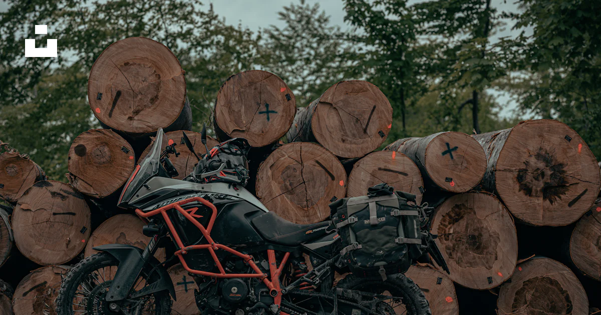 A motorcycle parked next to a pile of logs photo – Free Ukraine Image ...