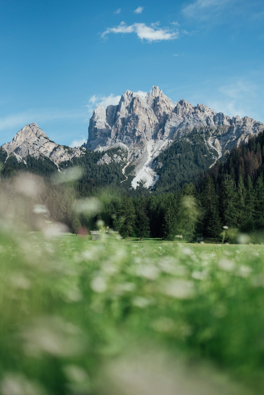 Una vista de una cadena montañosa desde un campo cubierto de hierba