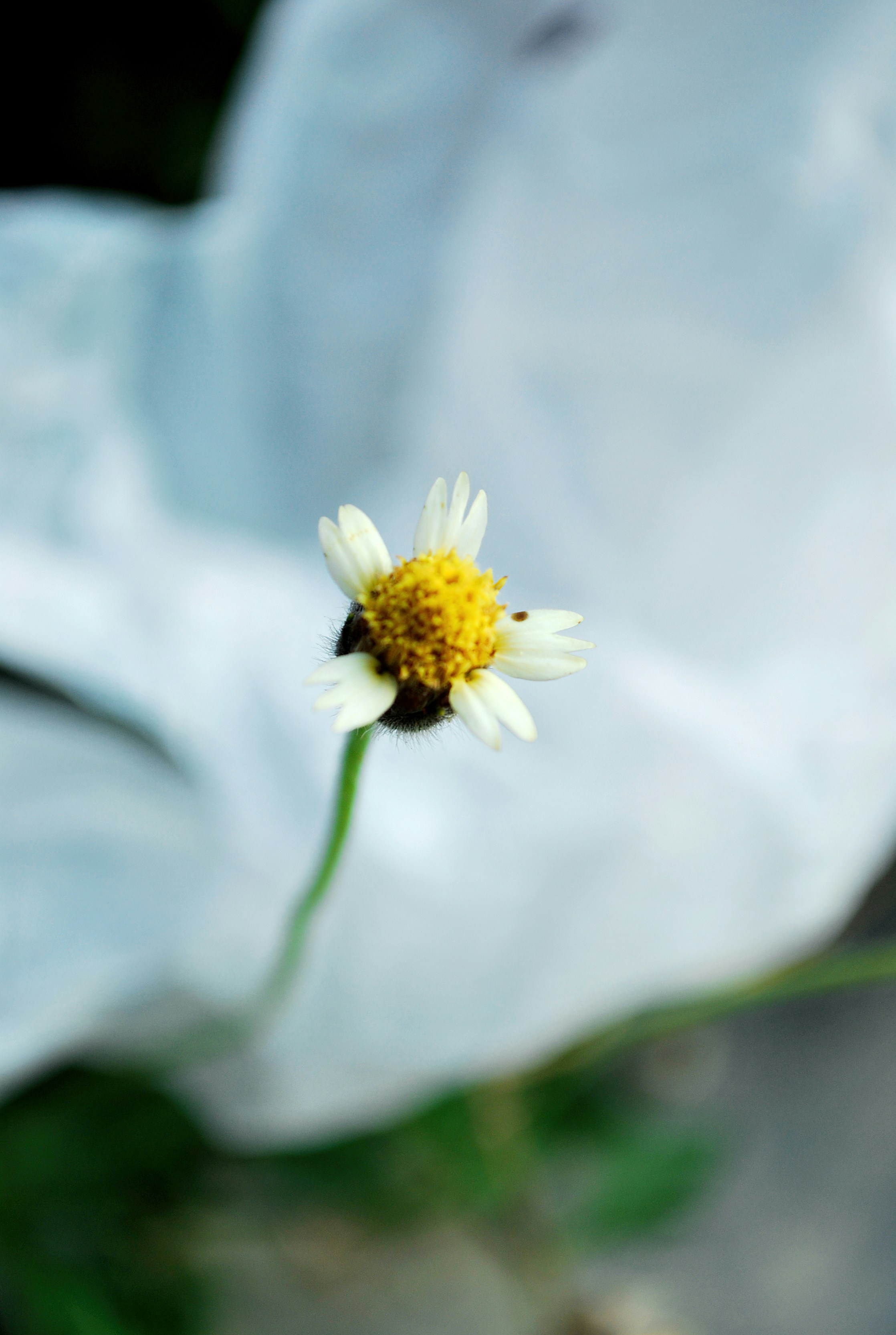 Tiny Studio Field Guide: Lightweight On‑the‑Go Kits for Urban Makers and Micro‑Reporters (2026)