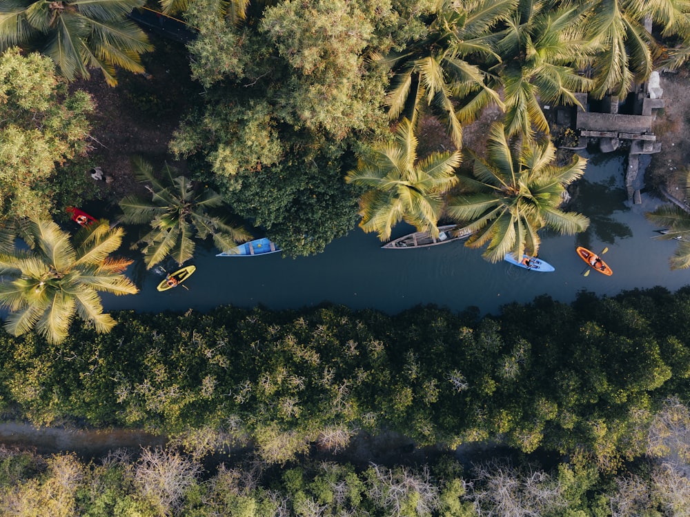 a group of boats floating on top of a river