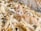 A light-colored cat with green eyes is resting on a pile of dried corn husks and ears. The background consists of a stone surface, adding a rustic feel to the scene.