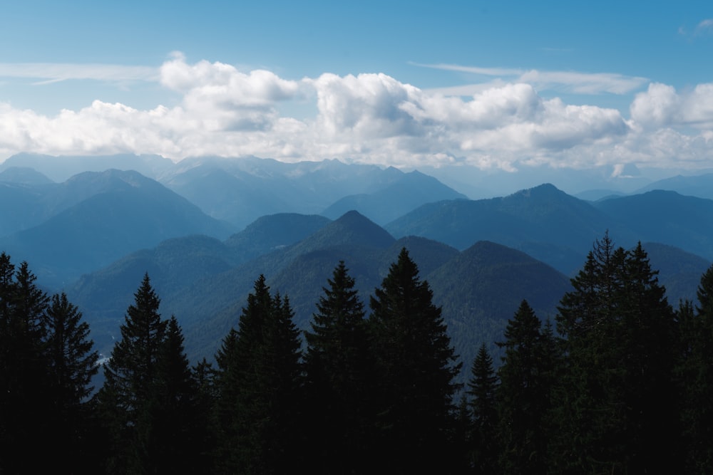 a view of a mountain range with trees in the foreground