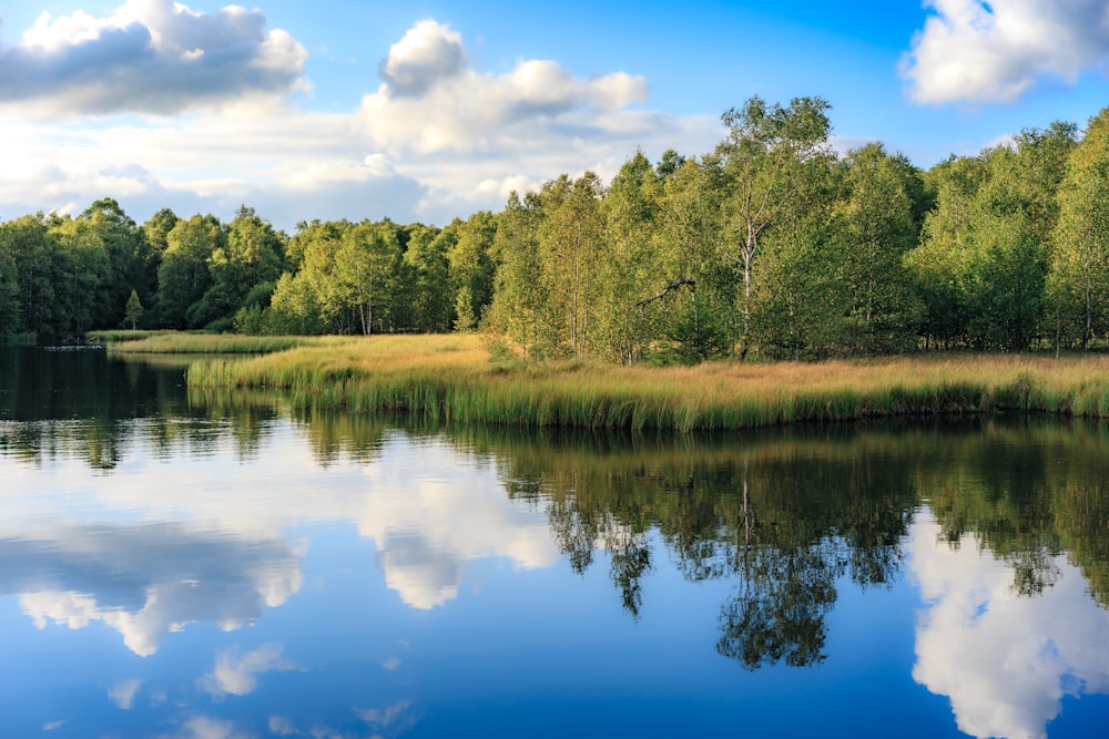 a body of water surrounded by trees and clouds