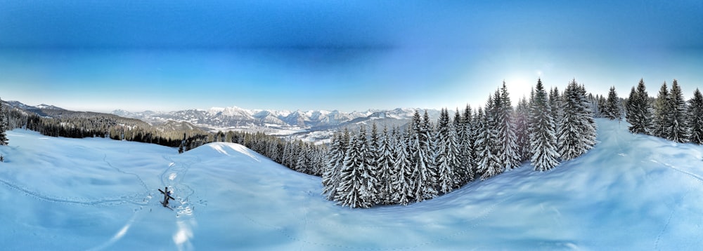 a picture of a snow covered mountain with trees