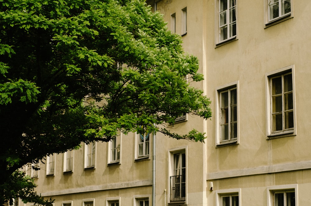 a clock on a pole in front of a building