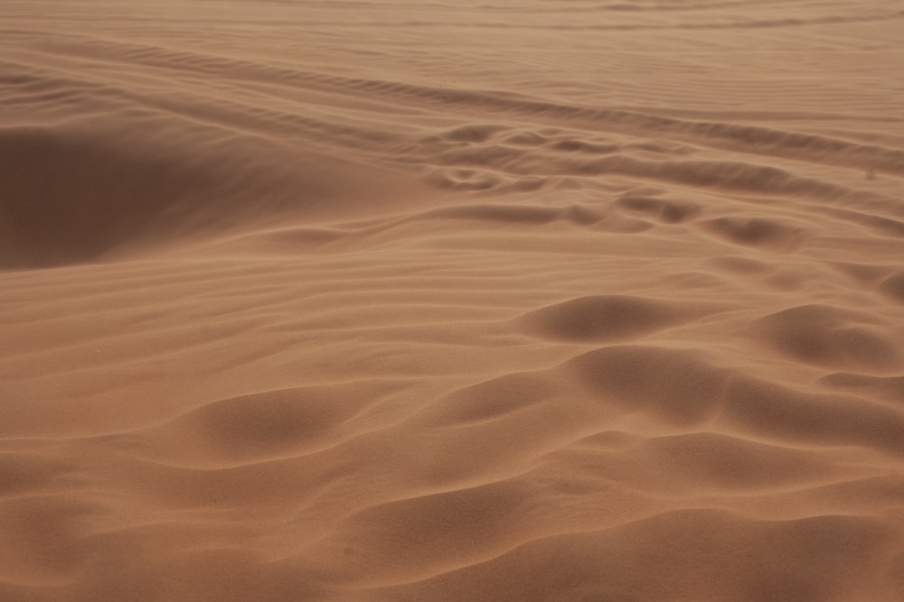 a sandy area with some tracks in the sand