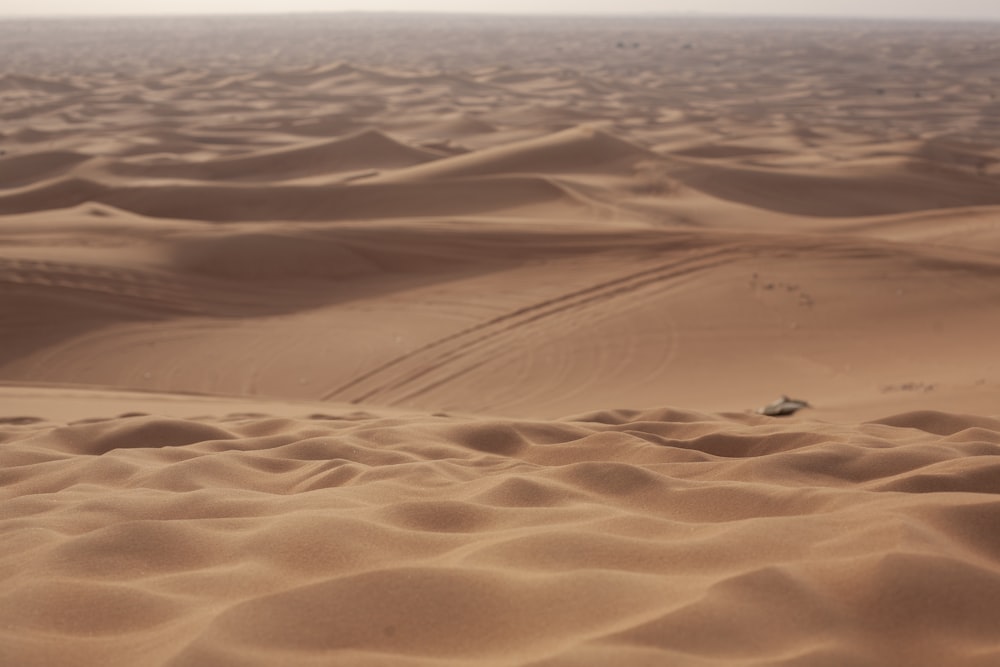 a view of the desert from a sand dune