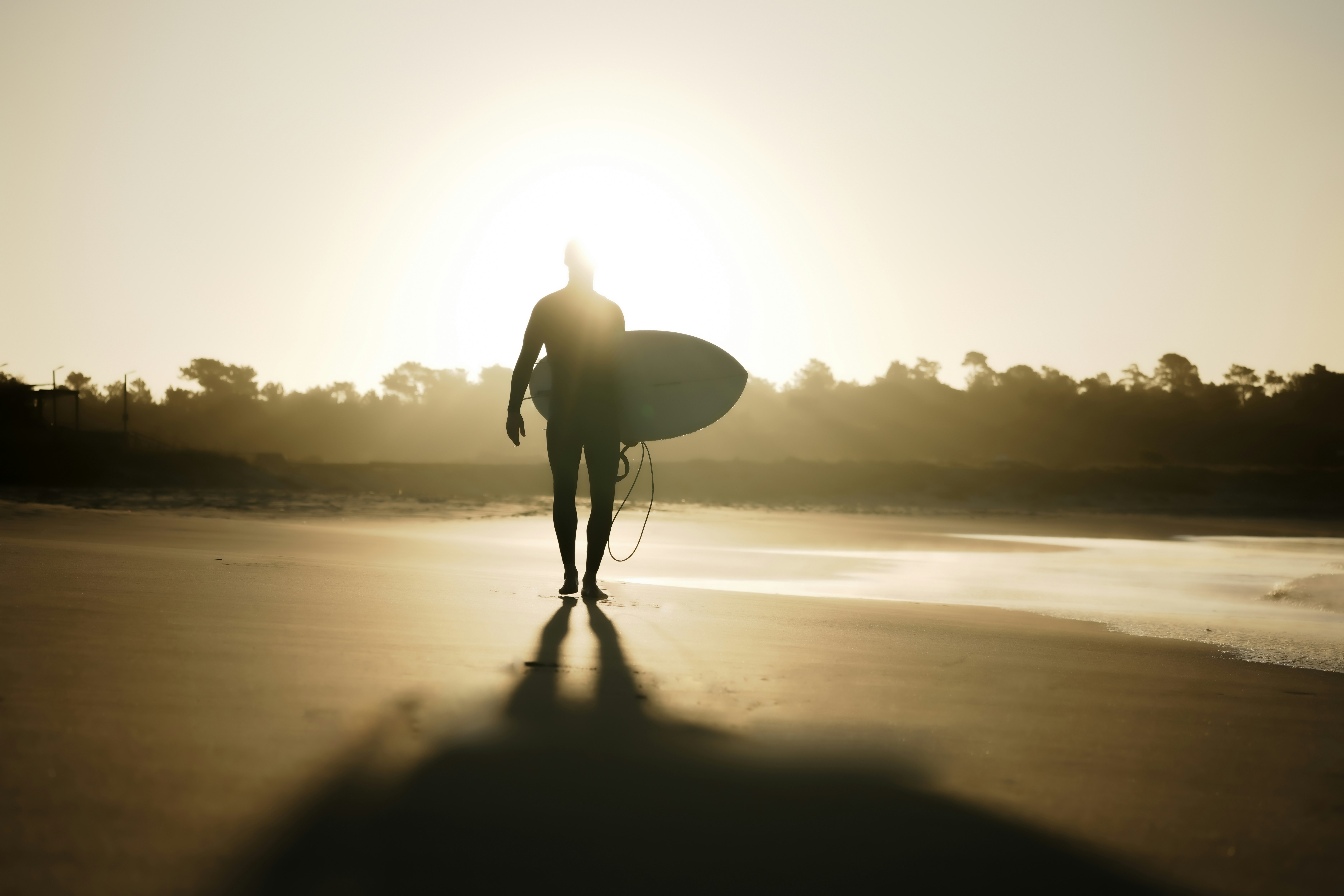 Photo by tinorischawy