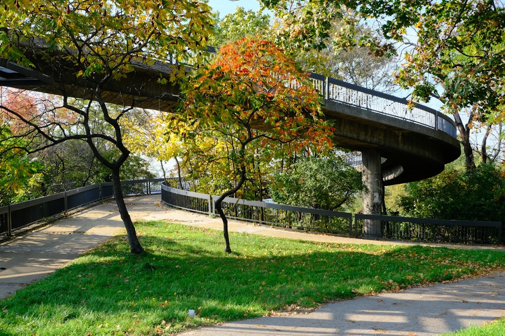 a park area with a bridge and trees