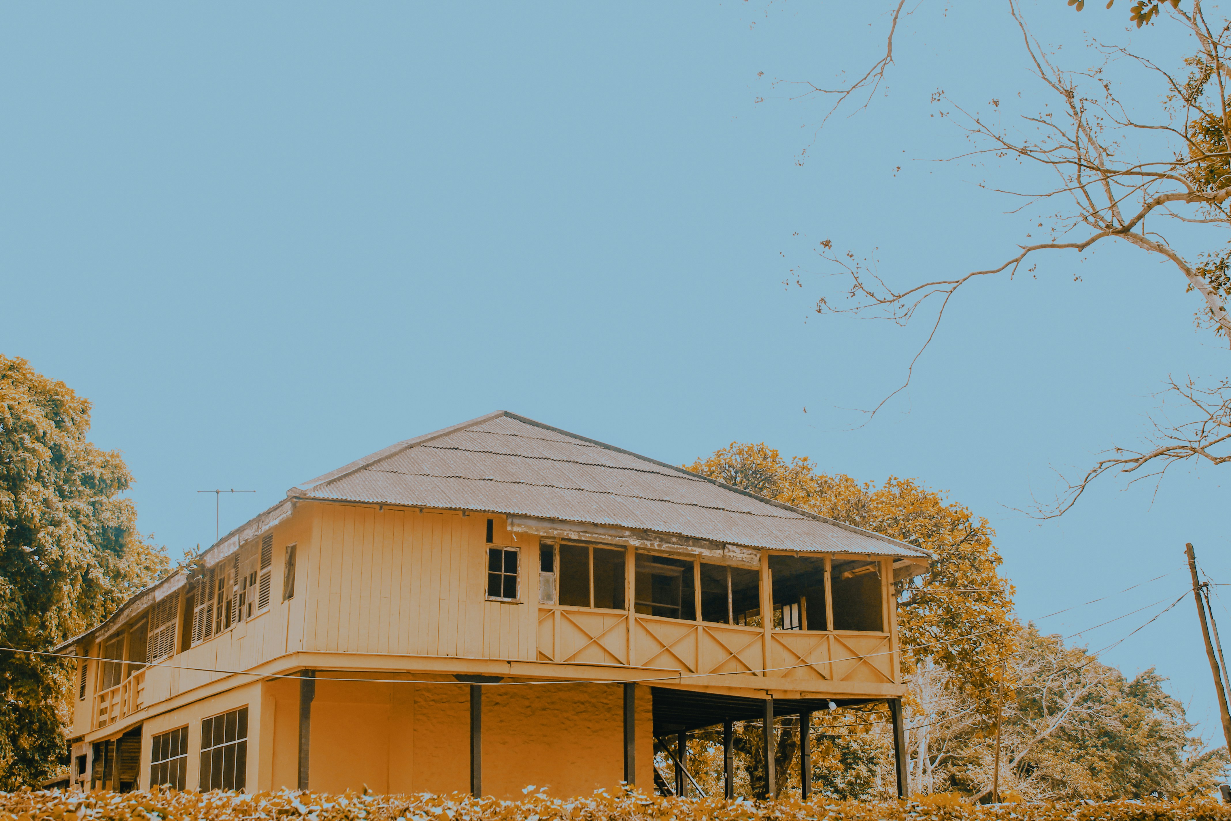 Photo by lens_of_verny