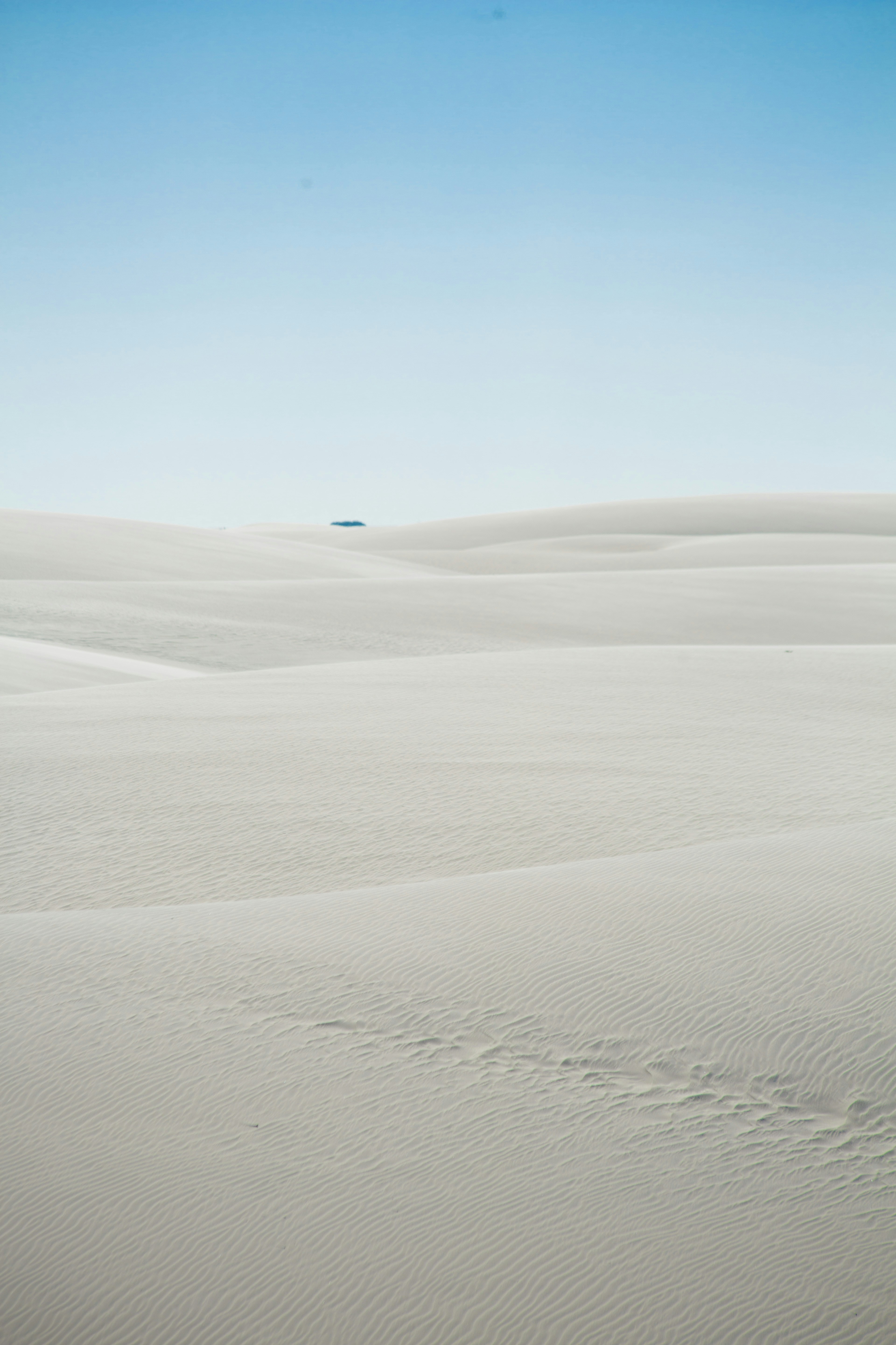 Photo by leocastrofilms