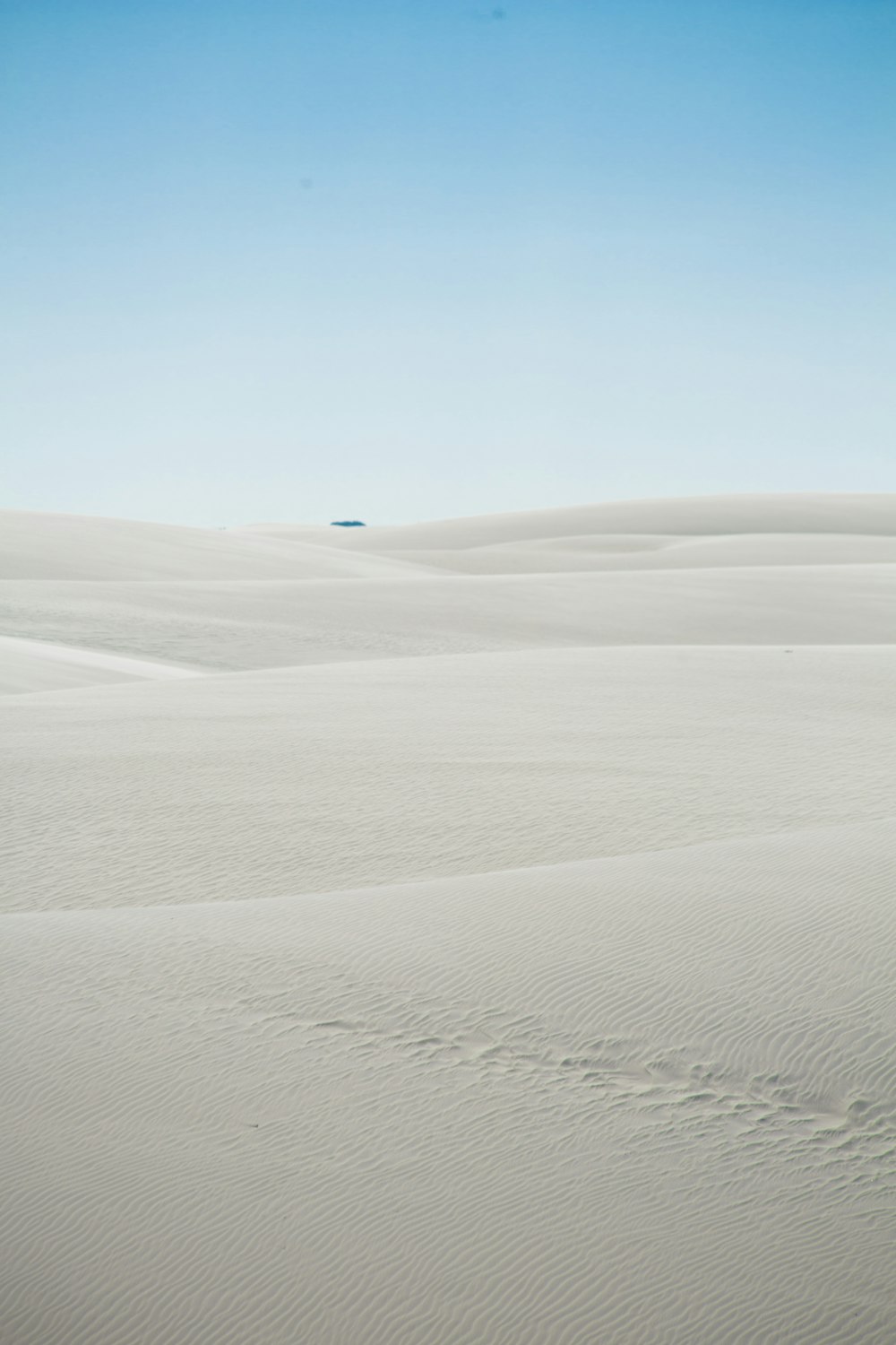 a lone tree in the middle of a vast expanse of sand