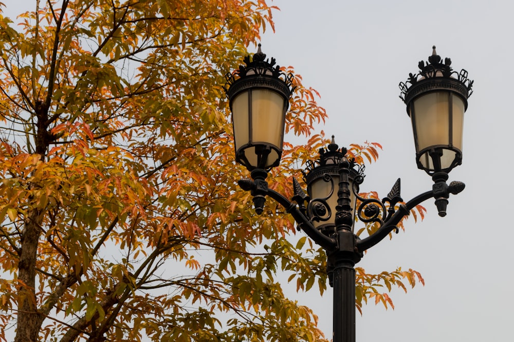 a street light sitting next to a tree