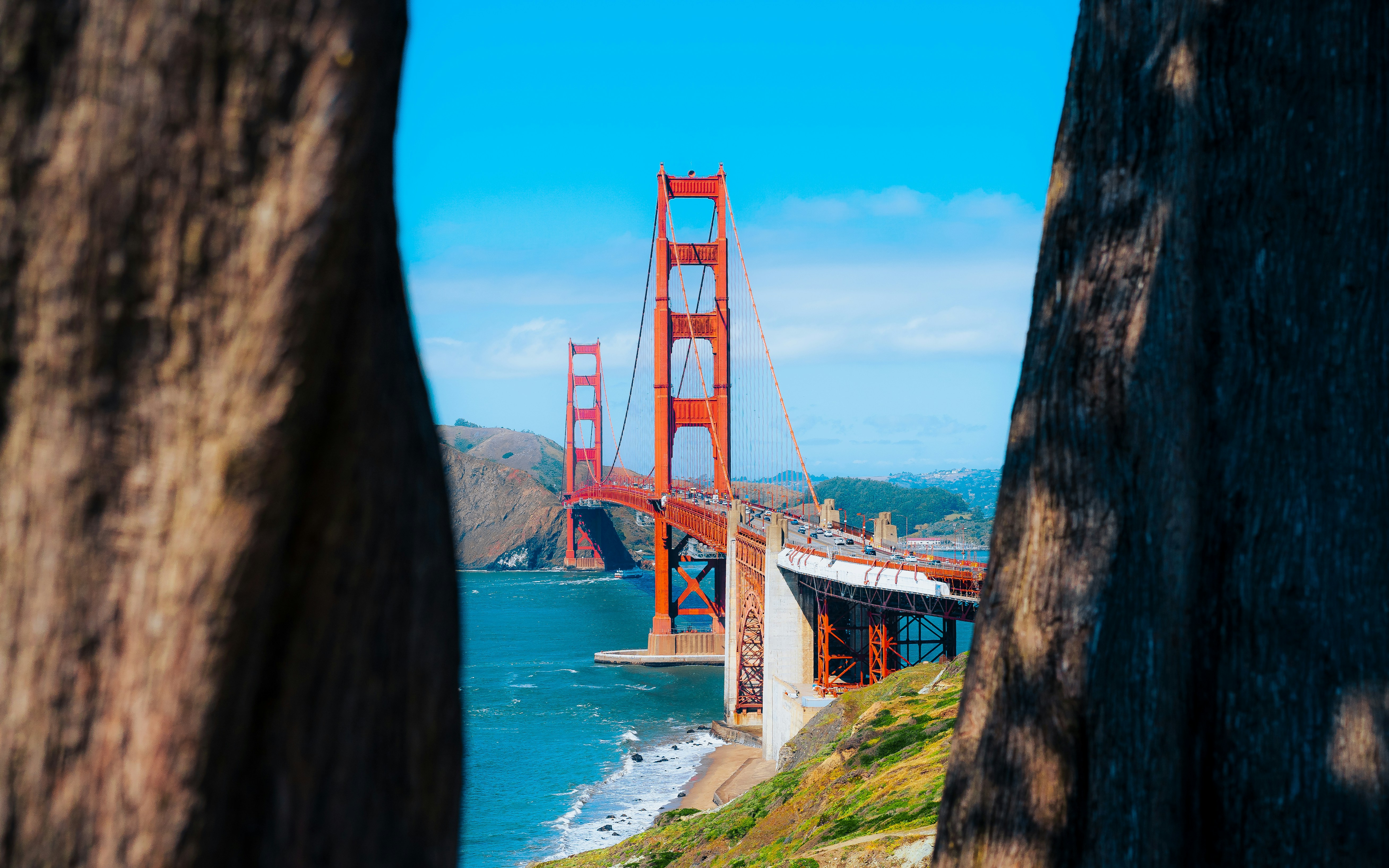 https://images.unsplash.com/photo-1677722712285-ba4b73351ba2?ixid=M3w2MjYzNjJ8MHwxfHNlYXJjaHwxMHx8Q2FsaWZvcm5pYSUyMGdpZnQlMjBjYXJkJTIwY2FzaC1vdXQlMjBsYXd8ZW58MHwwfHx8MTc3ODg2NTM3M3ww&ixlib=rb-4.1.0