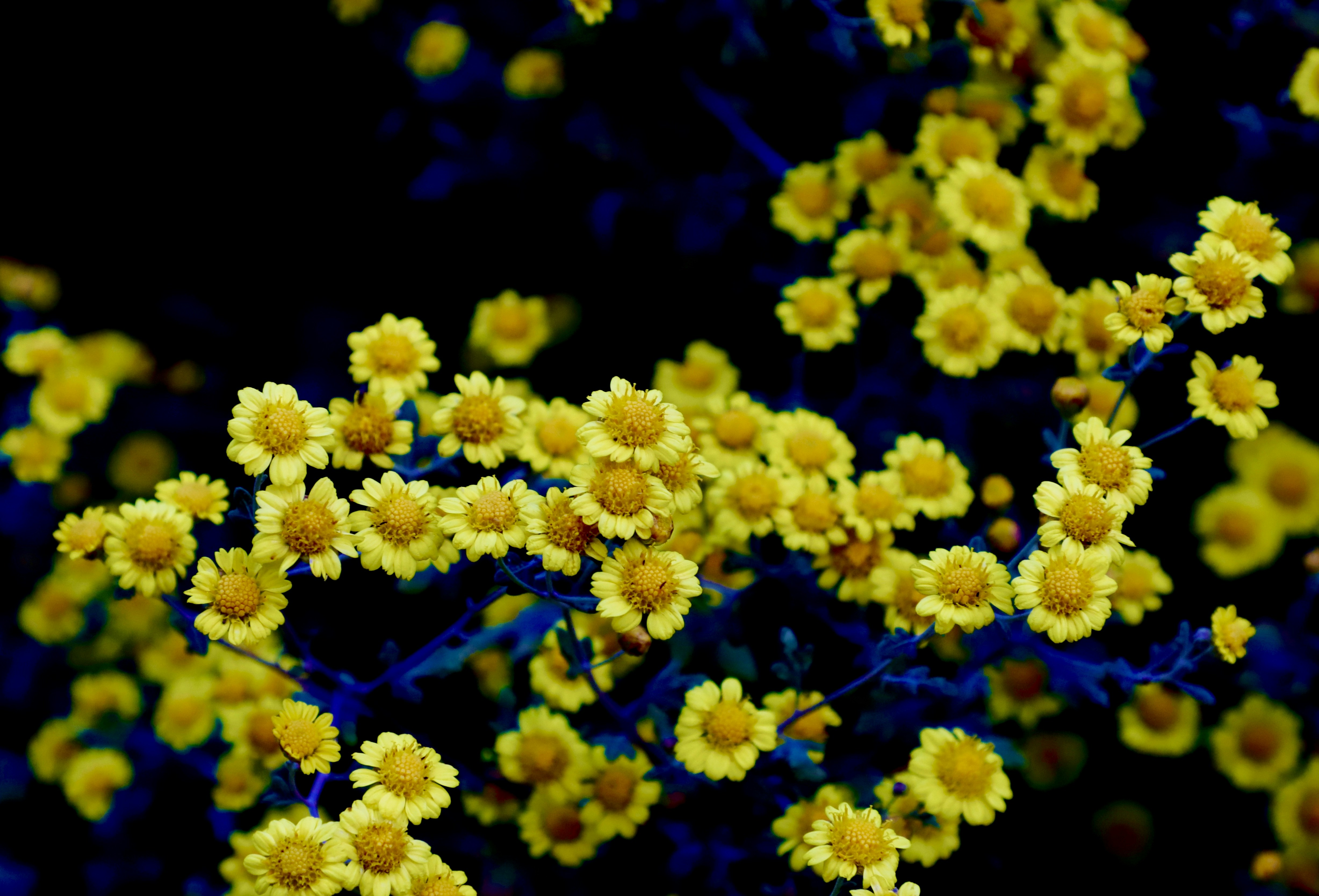 Photo by galaxyhunter