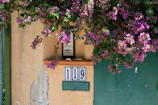 A close-up of a colorful floral pattern painted on a curb with the house number.
