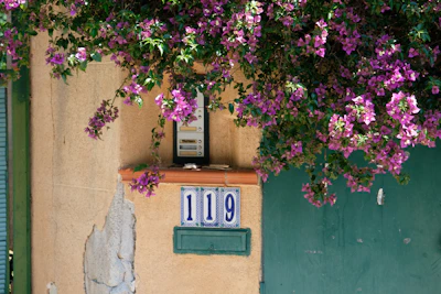 A close-up of a colorful floral pattern painted on a curb with the house number.