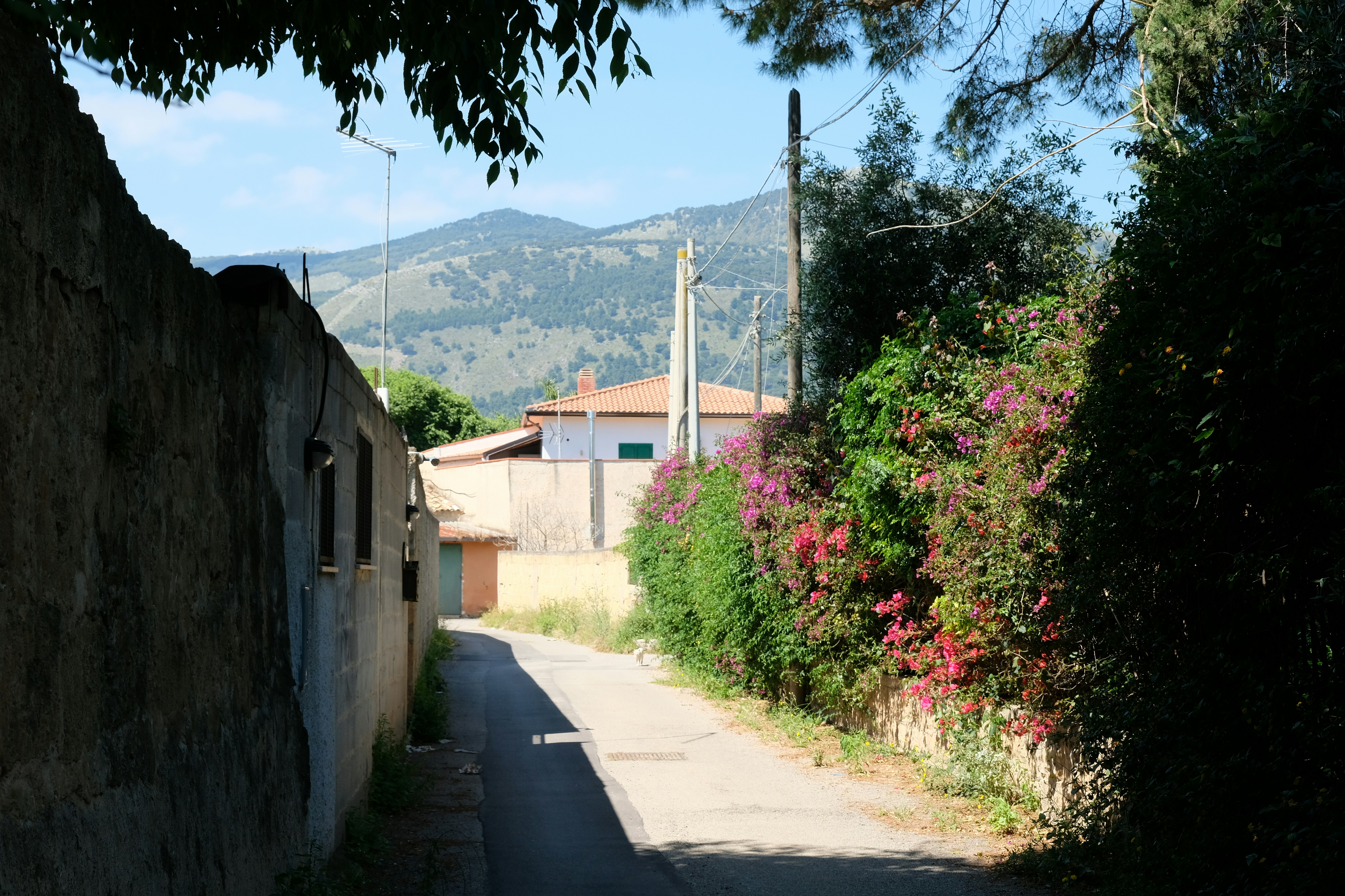 a narrow street with a building and a mountain in the background