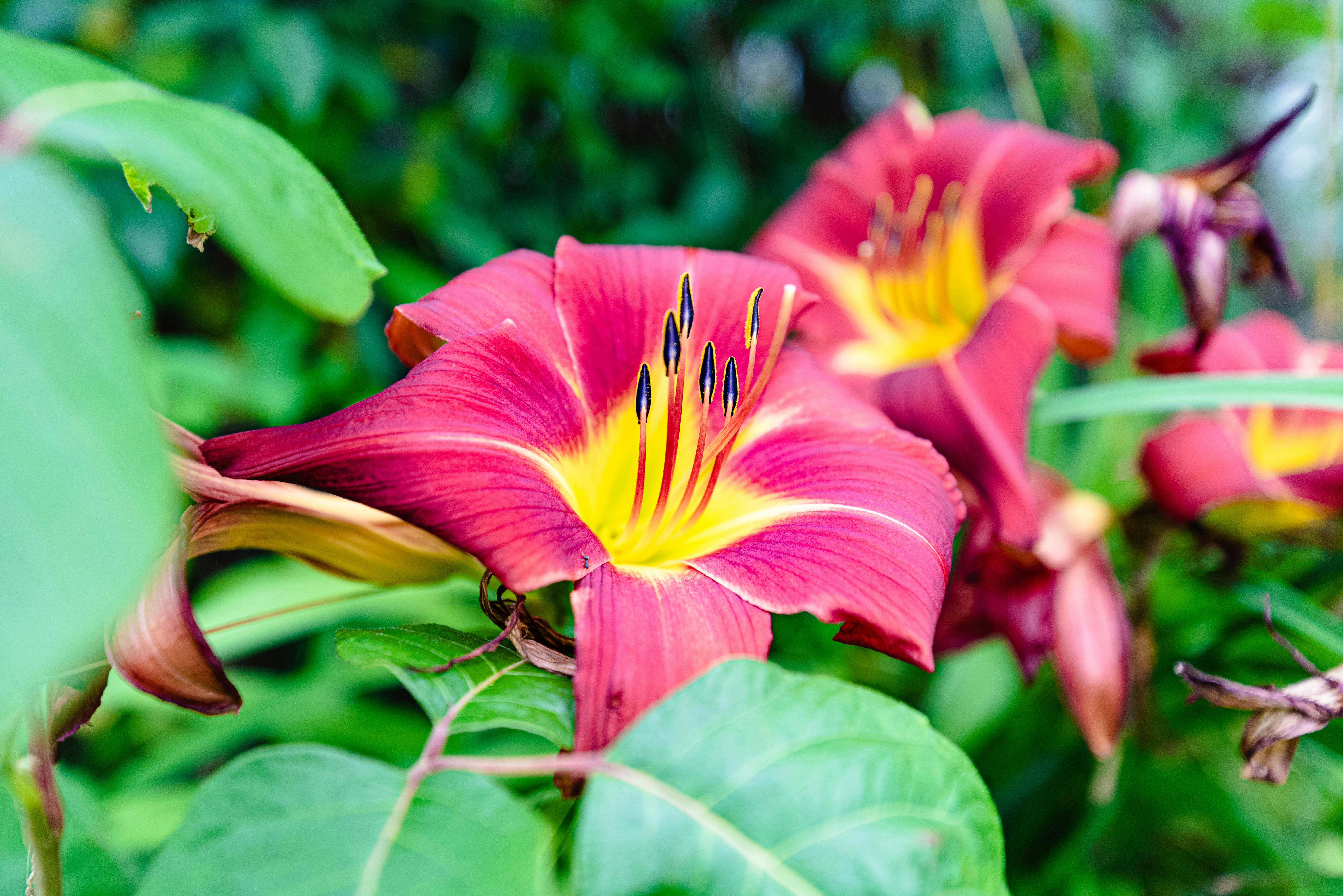 Photo by mikegattorna