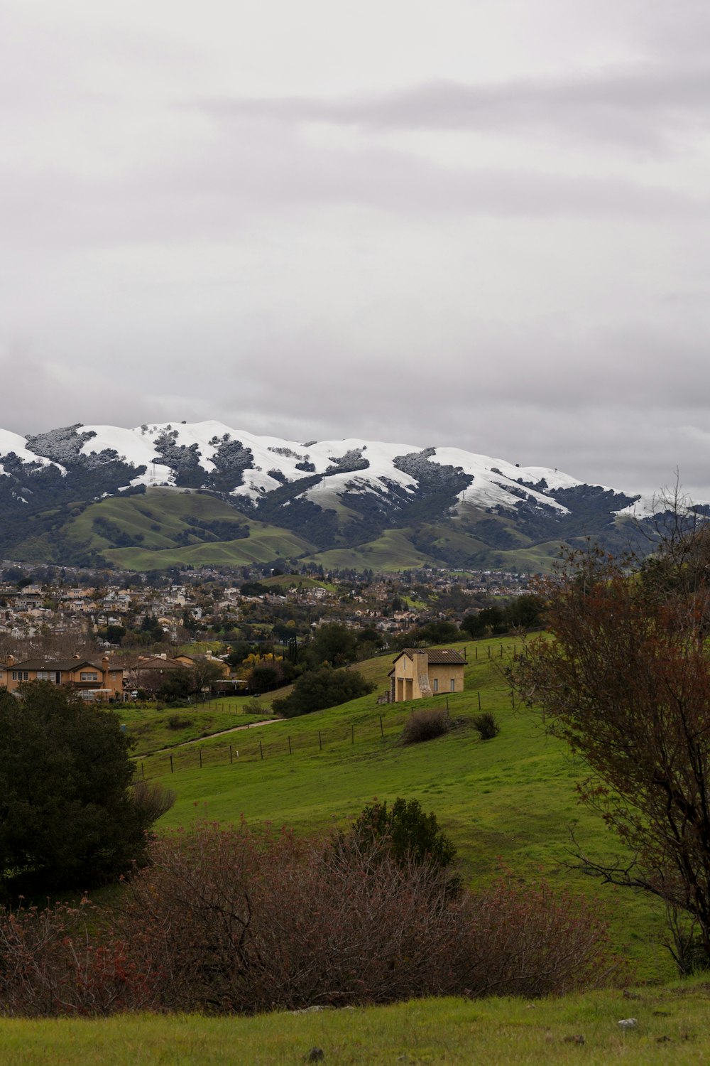 a green field with snow covered mountains in the background